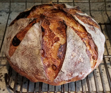 Load image into Gallery viewer, Cranberry Walnut Sourdough