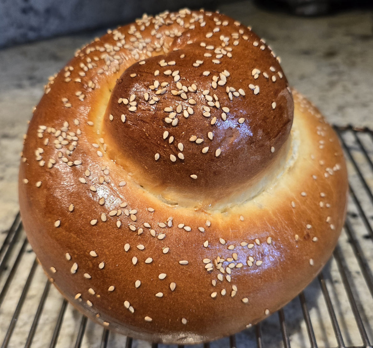 Round Challah-Shell – Frangipani Bread