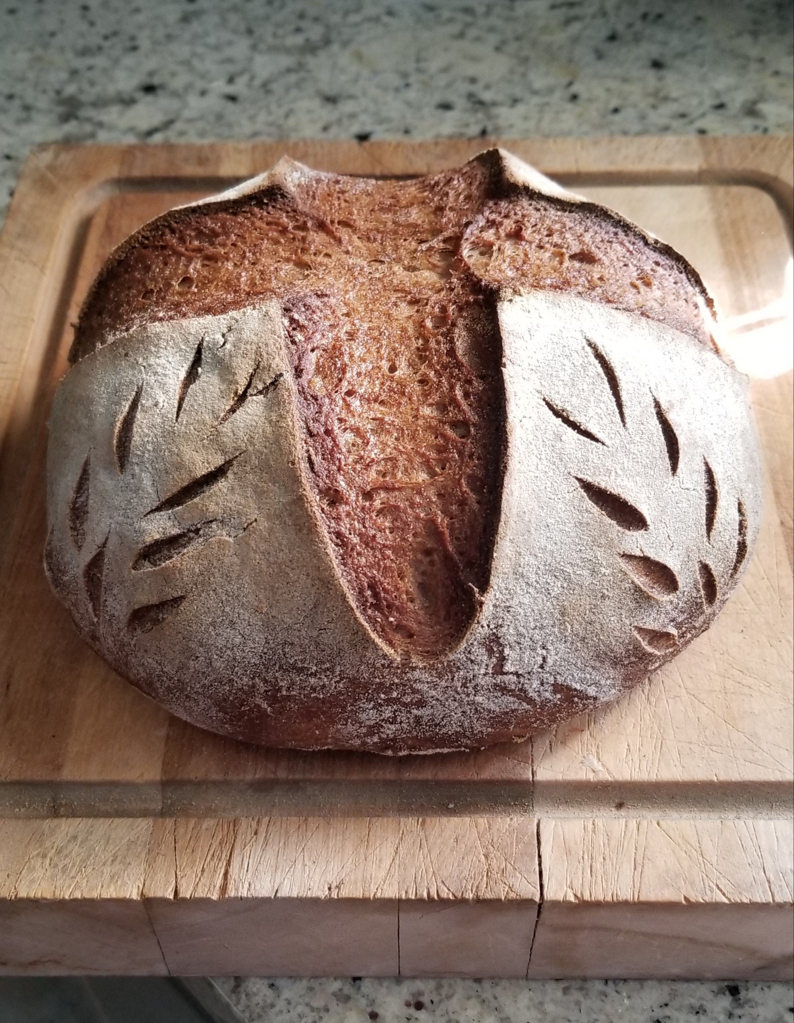 Get One Original Round Breadsling (Boule)