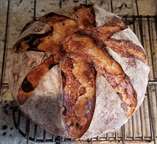 Cranberry Walnut Sourdough