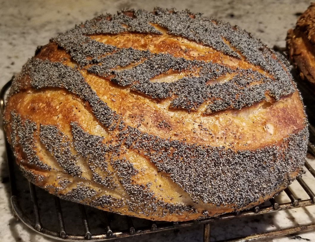 Poppy Seed Country Loaf